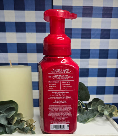 Bath & Body Works Winter Candy Apple Gentle and Clean Foaming Hand Soap
